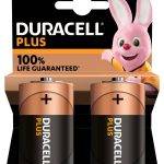 Duracell Alkaline D Plus Batteries 2pcs