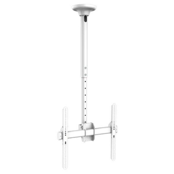 GBC TV Ceiling Mount 40x40 50kg 56-91cm up to 80" White TCM-3280