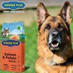 Winner Plus Holistic Salmon & Potato 12Kg – Φυσική Τροφή για Σκύλους με Σολομό & Πατάτα | skroutz cyprus | winner plus cyprus