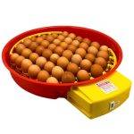 Egg Incubator PUISOR X2 - Automatic with display | Εκκολαπτικές Μηχανές Κύπρο | Skroutz Cyprus