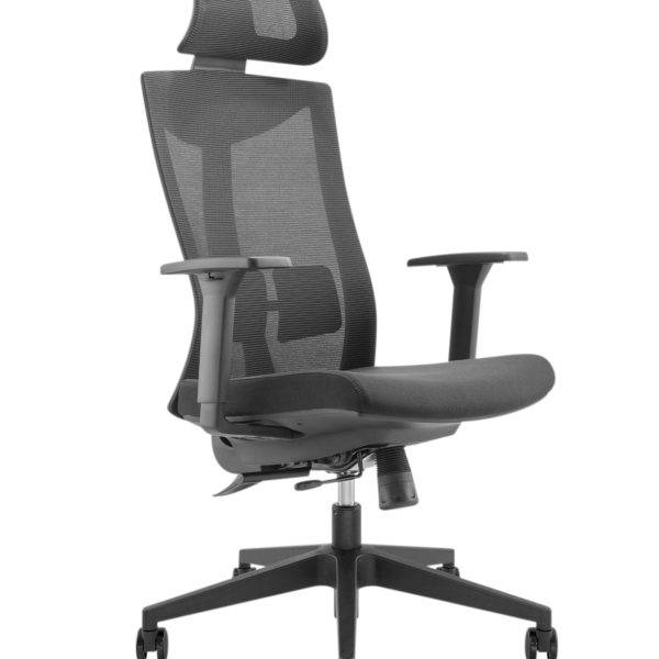 Lumivida Office Chair Ergonomic Mesh Lumbar Support Adjustable Seat/Armrest/Headrest Black CH05-8