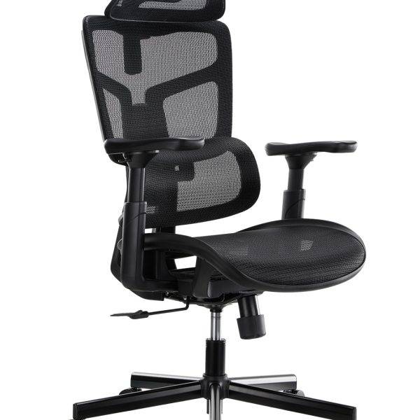 Lumivida Office Chair Ergonomic Mesh Lumbar Support Adjustable Seat/Armrest Black CH10-10