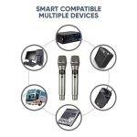 SonicGear Microphone Wireless 2xHandsets WM 3000UL DUAL Palladium - Image 6