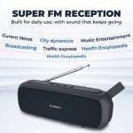 SonicGear Portable Speaker BT/FM/USB/SD P8000 Super Graphite - Image 2