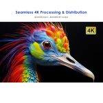 Lenkeng HDMI Modulator 4K30Hz Loop Out 4K60Hz LKV679P-DVBT - Image 5