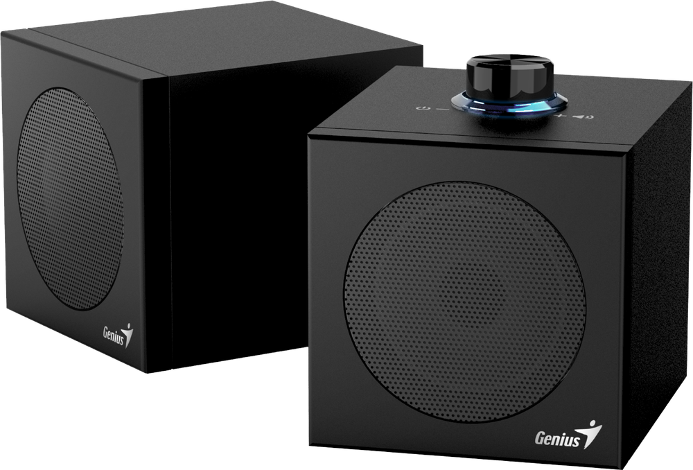 Genius PC Speakers 2.0 USB Audio 4W RMS USB-A+C SP-HF300U Black